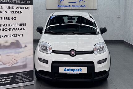 Fiat Panda 92.000 km 7.999 &euro; Gütersloh 33332