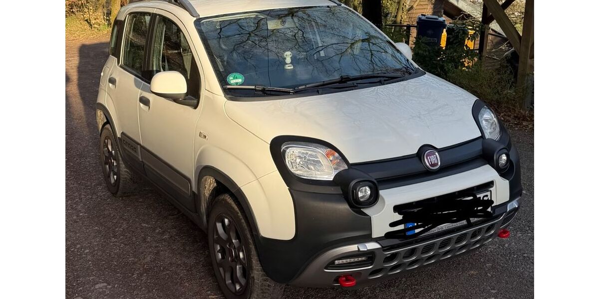 Fiat Panda 54.302 km 12.550 &euro; Höchst 64739