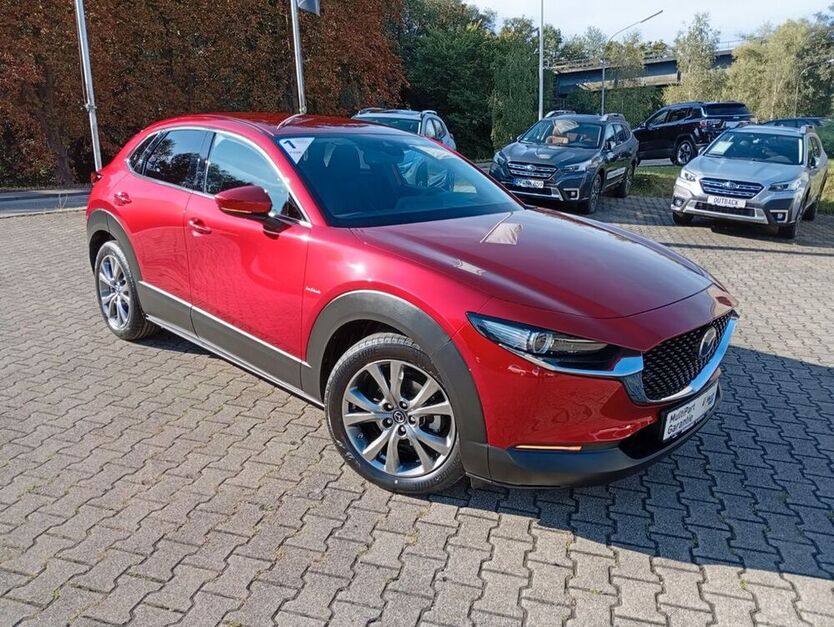 CX-30