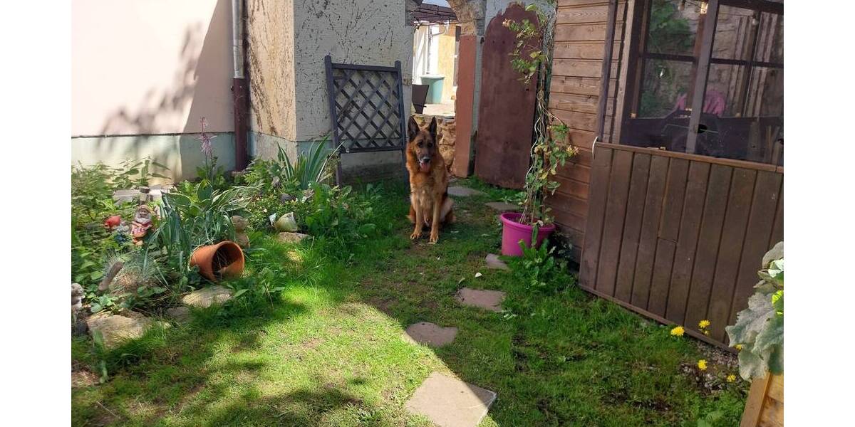 Einfamilienhaus Hünfeld Roßbach - 7 Zimmer, 200 m&sup2;, 490.000&euro; | Angebot:25733203