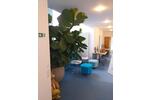 Gewerbeobjekt Herxheim bei Landau/Pfalz Pfalz - 140&euro; | Angebot:25424942