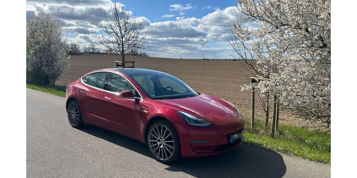 Tesla Model 3 113.030 km 20.800 &euro; Otterwisch 04668