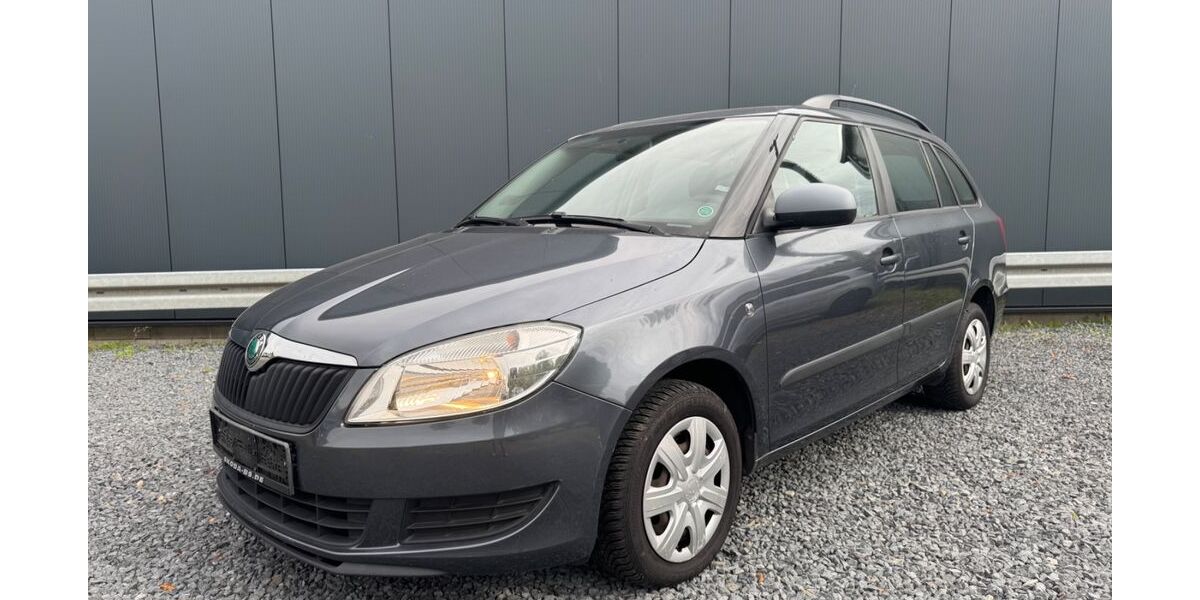 Skoda Fabia 173.300 km 2.990 € Braunschweig 38110
