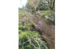 Grundstück Melbeck - 170&euro; | Angebot:26135414