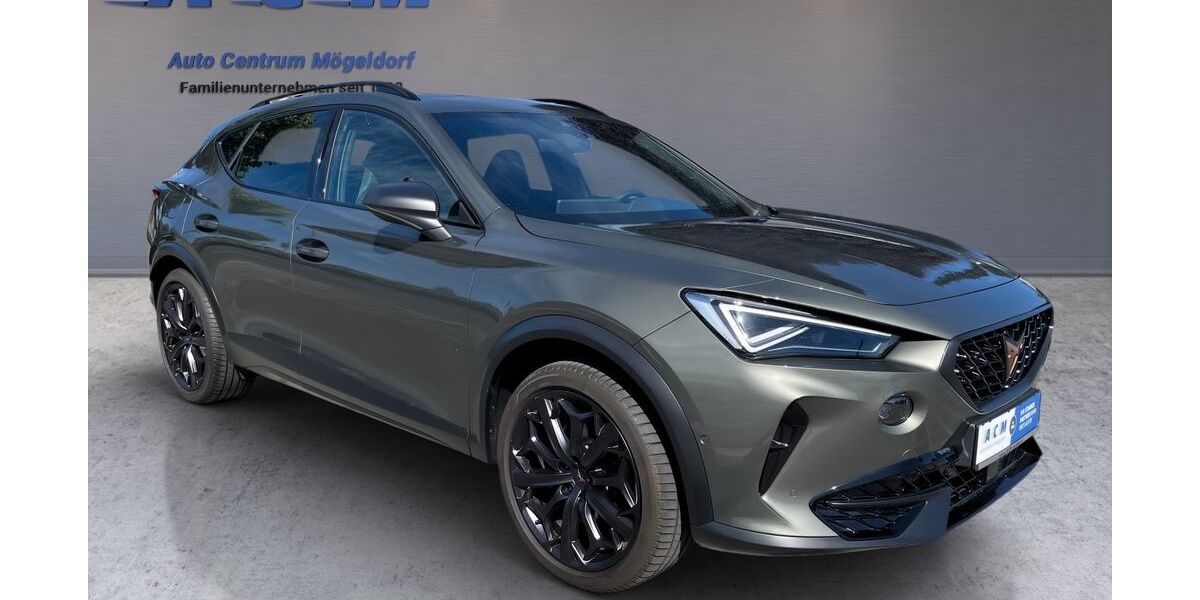 Cupra Formentor 17.400 km 31.400 &euro; Nürnberg 90482