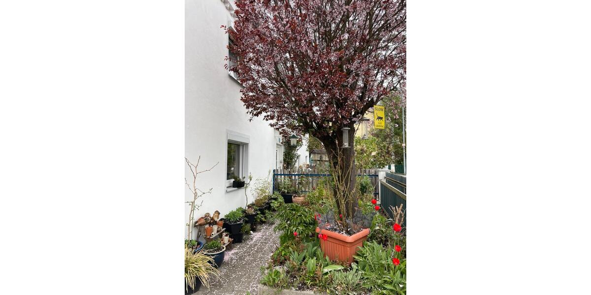 Reihenhaus Landau an der Isar - 4 Zimmer, 81 m&sup2;, 285.000&euro; | Angebot:26393864