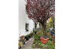 Reihenhaus Landau an der Isar - 4 Zimmer, 81 m&sup2;, 285.000&euro; | Angebot:26393864