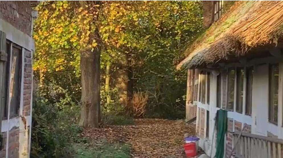 Haus zum Kaufen in Cadenberge 339.000 € 450 m²