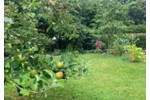 Einfamilienhaus Leer (Ostfriesland) - 4 Zimmer, 116 m&sup2;, 325.000&euro; | Angebot:27269894