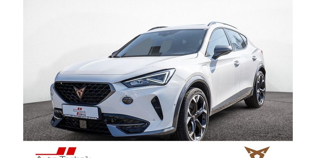 Cupra Formentor 88.597 km 24.980 &euro; Wittenberge 19322