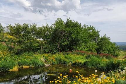 Zimmer frei in Hof-Wohngemeinschaft 3 zimmer