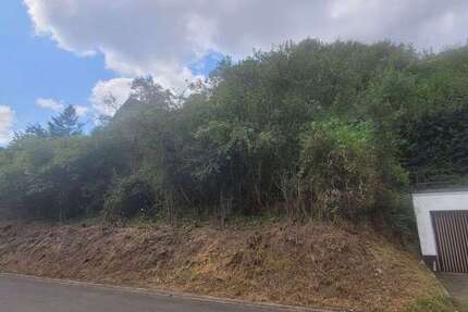 Grundstück Hahnenbach - 34.000&euro; | Angebot:16771552