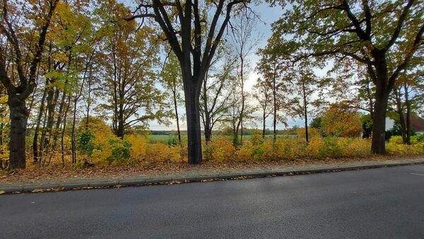 Grundstück Rüdersdorf Herzfelde - 169.000&euro; | Angebot:25750108