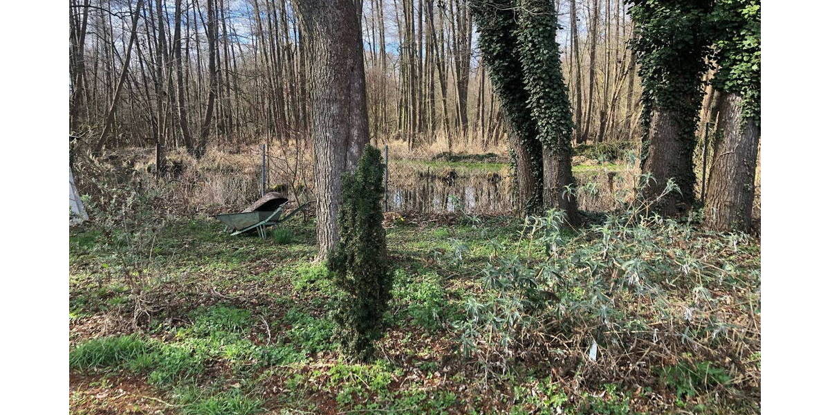 Grundstück Bestensee - 1.300.000&euro; | Angebot:25957449