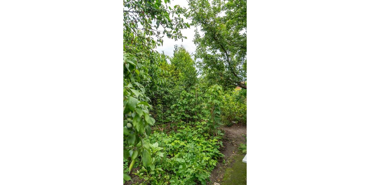 Doppelhaushälfte Neupetershain - 3 Zimmer, 63 m&sup2;, 89.000&euro; | Angebot:27084480