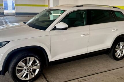 Skoda Kodiaq 236.000 km 16.666 &euro; Neu-Ulm 89233