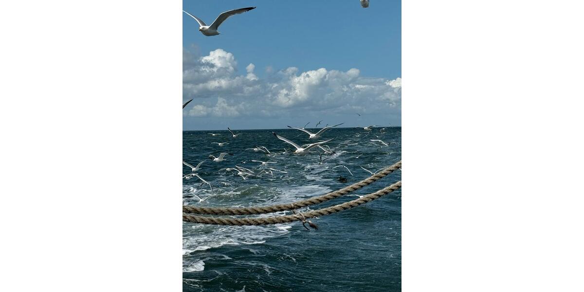 Ferienimmobilie Dortmund Mengede - 1.590&euro; | Angebot:25878907