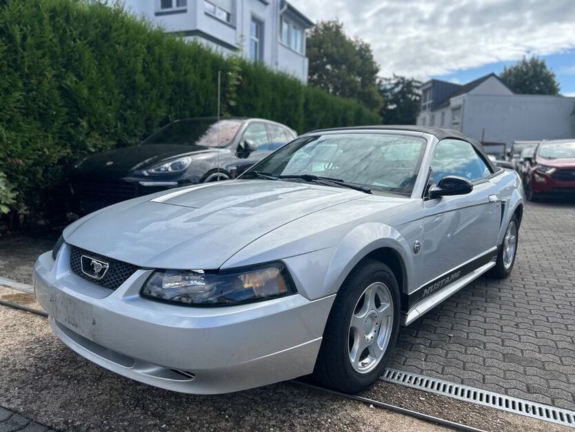 Mustang
