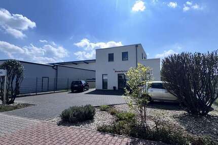 Haus zum Kaufen in Trebur Geinsheim 1.250.000 € 316 m² 10 zimmer