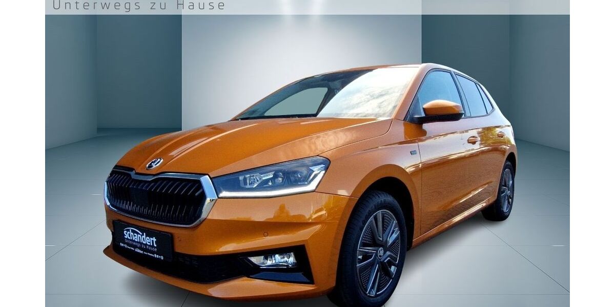 Skoda Fabia 4.500 km 24.440 &euro; Dessau 06847