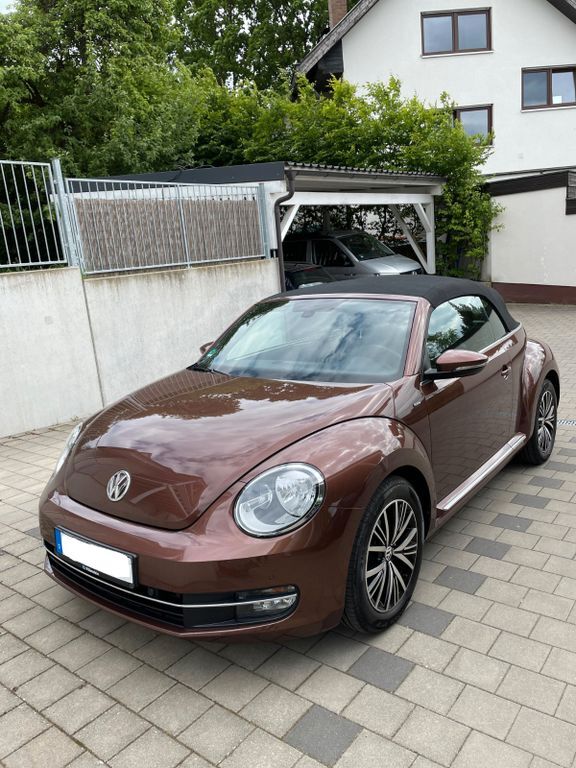 Beetle