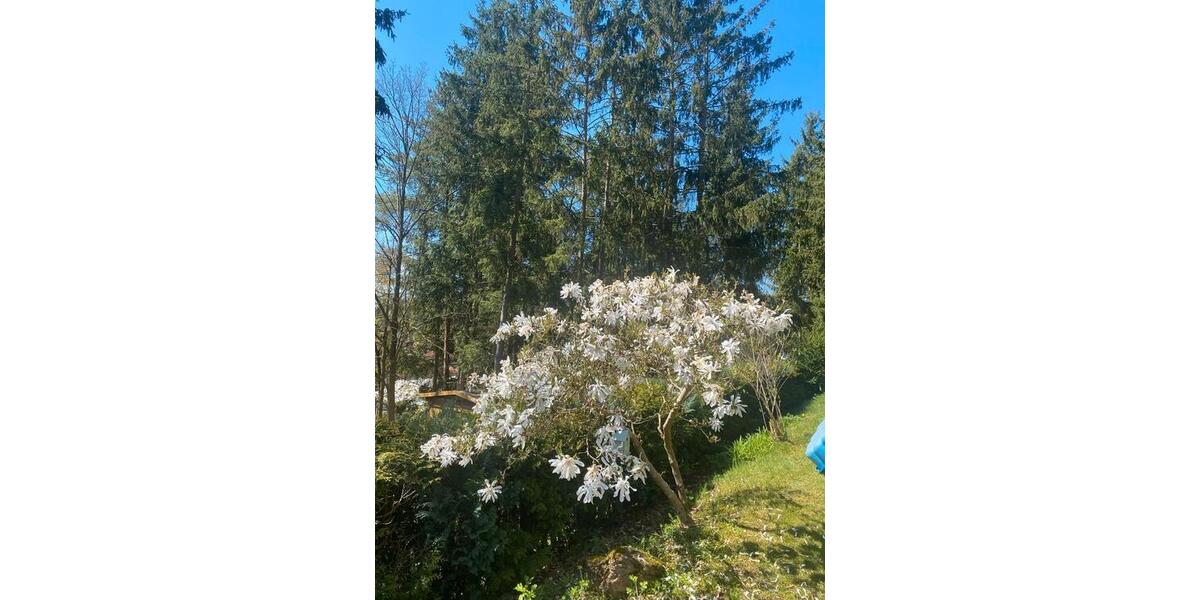 Einfamilienhaus Steinbach-Hallenberg Hallenberg - 3 Zimmer, 70 m&sup2;, 75.000&euro; | Angebot:26314391