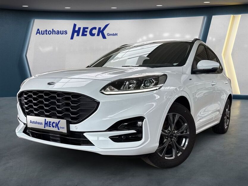 Kuga
