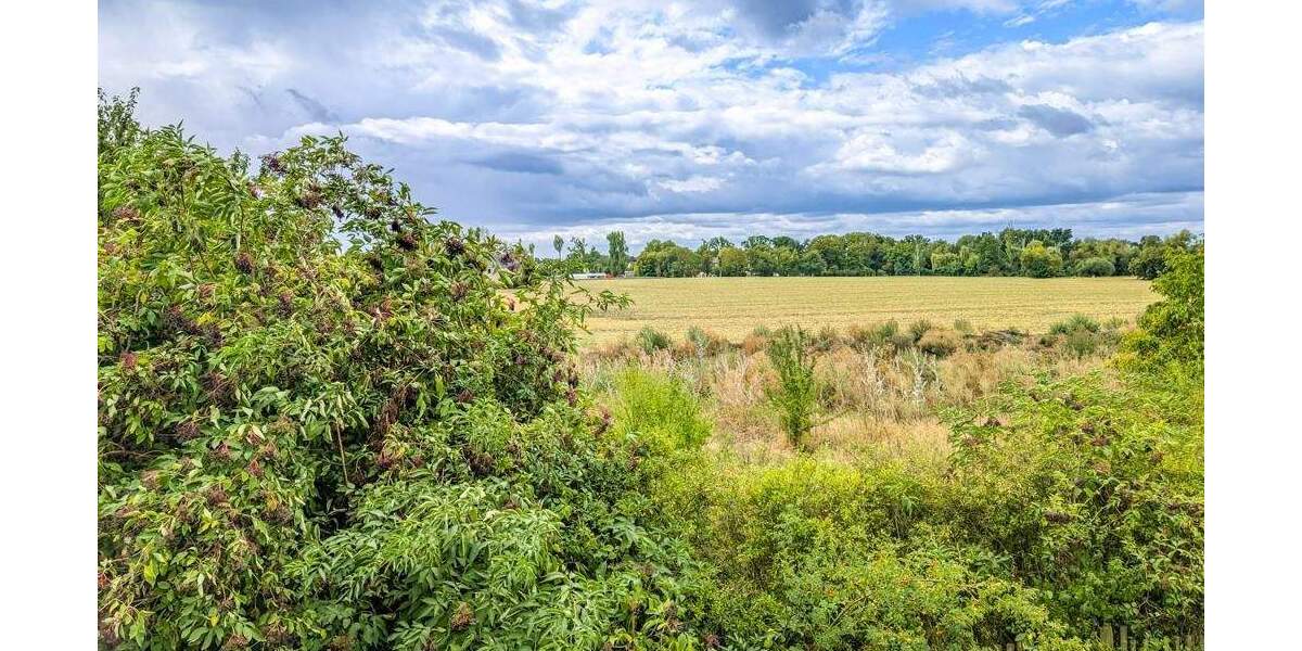 Grundstück Markranstädt Quesitz - 169.000&euro; | Angebot:24620660