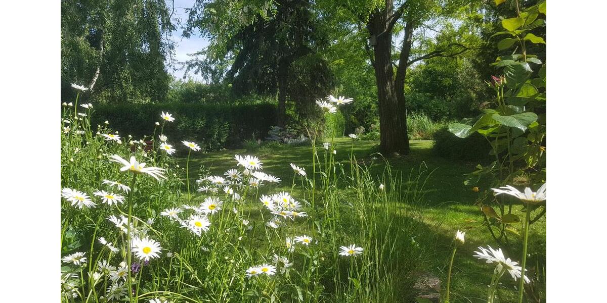 Haus im Grünen zu vermieten 6 zimmer