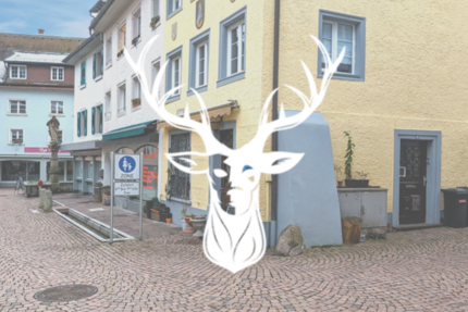 Haus zum Kaufen in Waldshut-Tiengen 350.000 € 180 m² 5 zimmer