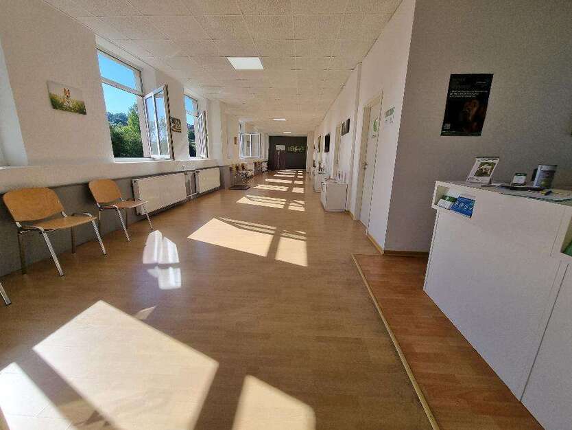 Wohnung zum Mieten in Waldfischbach-Burgalben 1.476 € 328 m²