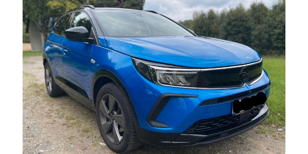 Opel Grandland (X) 65.000 km 15.950 &euro; Waidhaus 92726