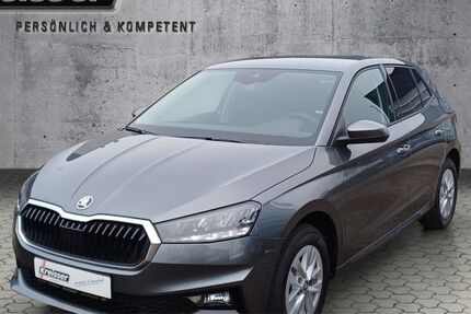 Skoda Fabia 2.600 km 22.290 &euro; Ulm 89077