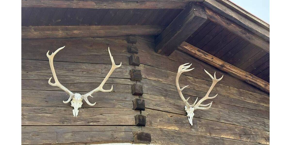 Gewerbeobjekt Oberstaufen Steibis - 780.000&euro; | Angebot:26358889