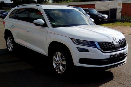 Skoda Kodiaq 144.513 km 19.499 &euro; Großharrie 24625