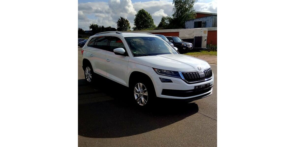 Skoda Kodiaq 144.513 km 19.499 &euro; Großharrie 24625
