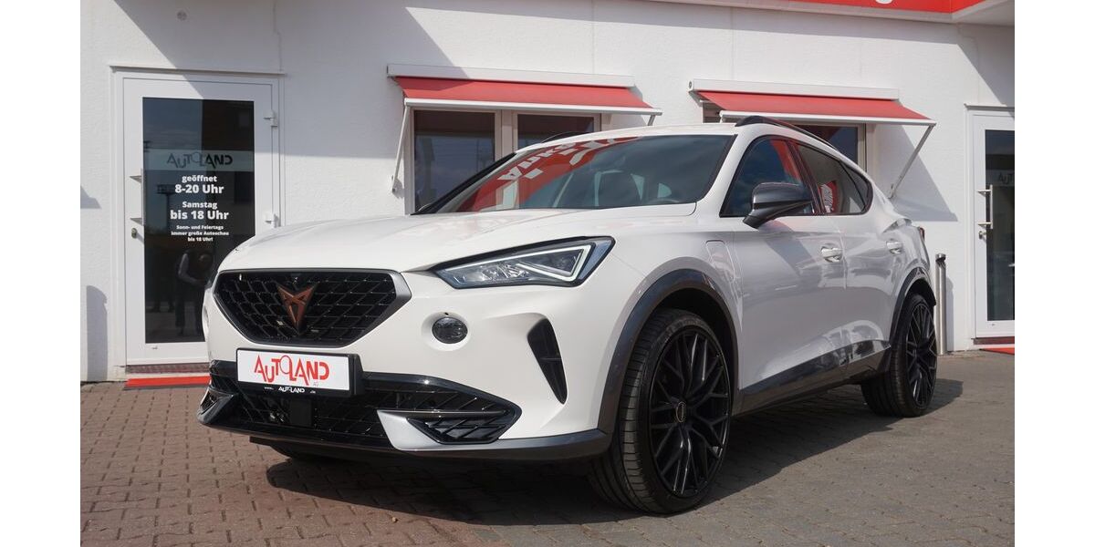 Cupra Formentor 53.214 km 25.950 &euro; Halle 06122