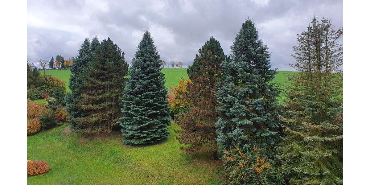 Wohnung zum Mieten in Klingenberg 535 € 93 m² 3.5 zimmer