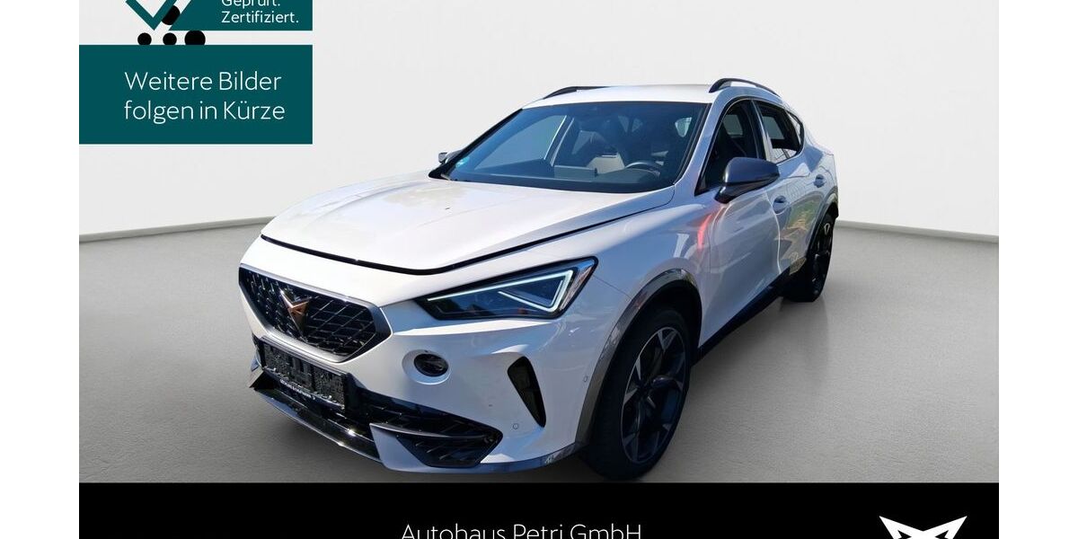 Cupra Formentor 19.154 km 30.840 &euro; Hofheim-Diedenbergen 65719