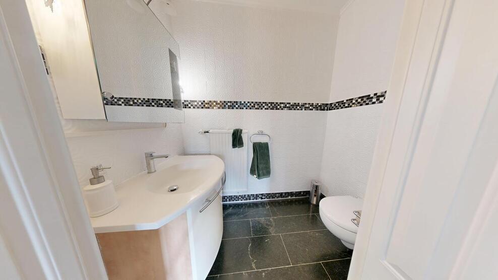 Exklusives, großes Einfamilienhaus in guter und ruhiger Ortsrand-Lage 9 zimmer