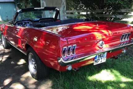 Ford Mustang 150.000 km 59.000 &euro; Neuberg 63543