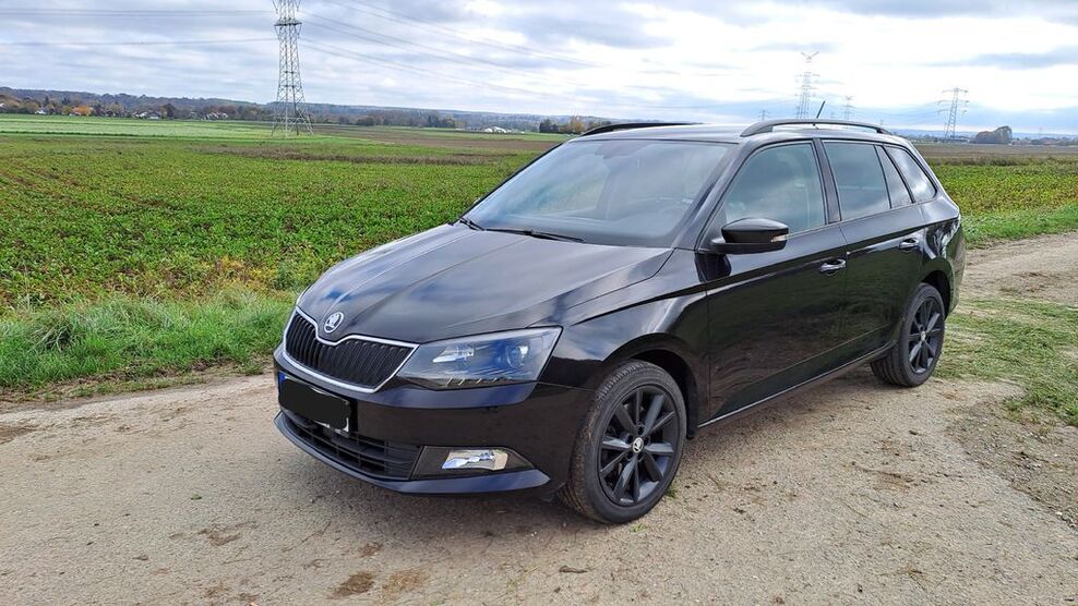 Skoda Fabia 83.000 km 13.950 € Ertingen 88521