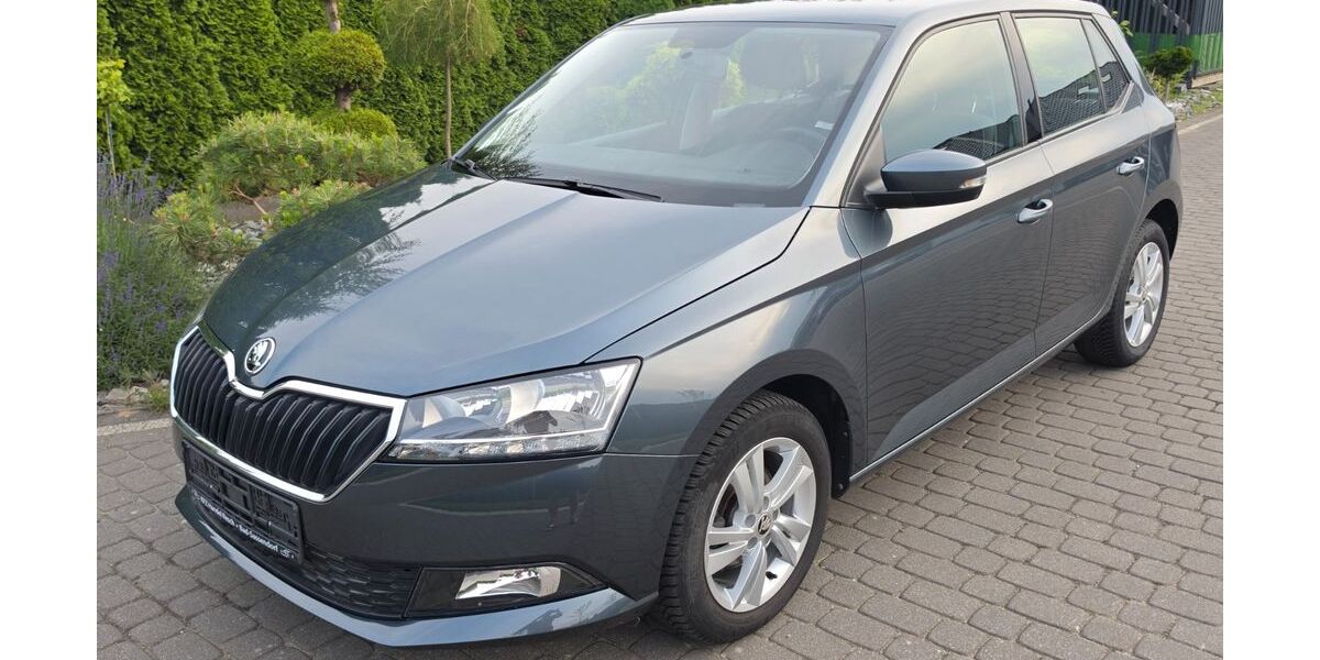 Skoda Fabia 49.100 km 12.460 &euro; Bad-Sassendorf 59505
