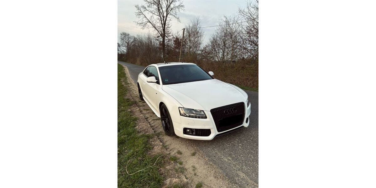 Audi A5 220.000 km 8.000 &euro; Vreden 48691
