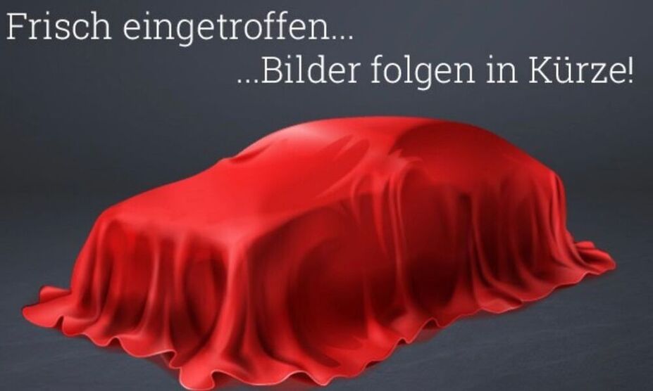 Sandero