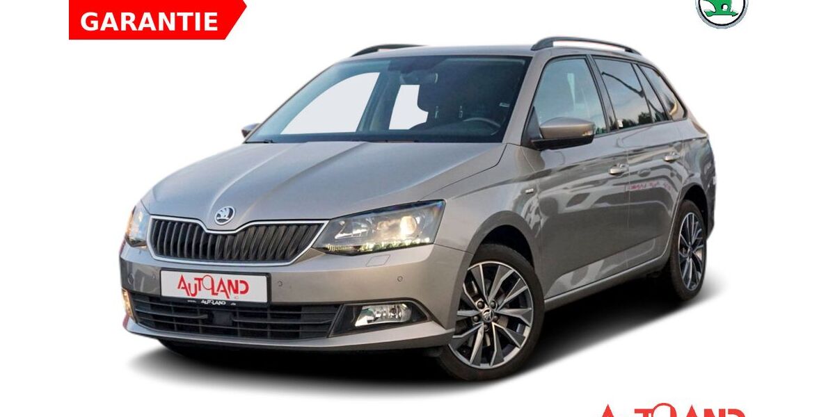 Skoda Fabia 97.900 km 13.990 &euro; Schwerin 19061