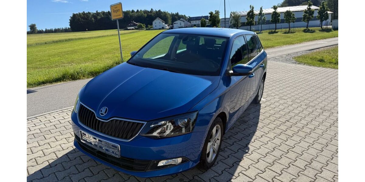 Skoda Fabia 184.787 km 6.500 &euro; Regen 94209