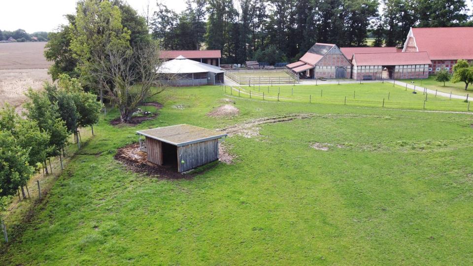 Gewerbeobjekt Badbergen - 125&euro; | Angebot:22011526