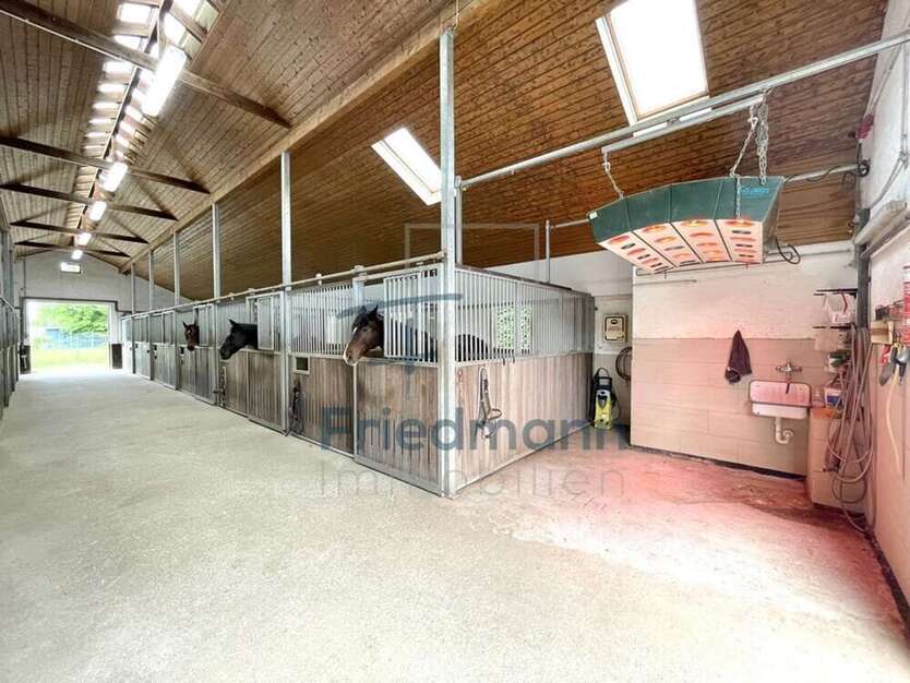 Haus zum Kaufen in Niederweis 1.350.000 € 256 m²