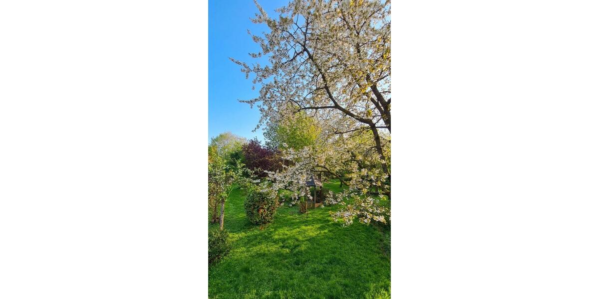 Etagenwohnung Rhauderfehn - 7 Zimmer, 170 m&sup2;, 279.000&euro; | Angebot:26387340